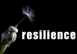 A dandelion with the word resilience. Assessing resilience and educating youth on coping with trauma. Help for urban youth leaders.