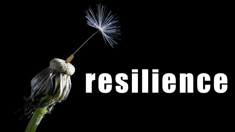 A resilient dandelion with the word resilience: Are you equipping youth to be resilient in face of trauma? DVULI offers self-assessment for adults.